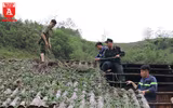Hành động đẹp sau trận giông lốc làm người dân xúc động